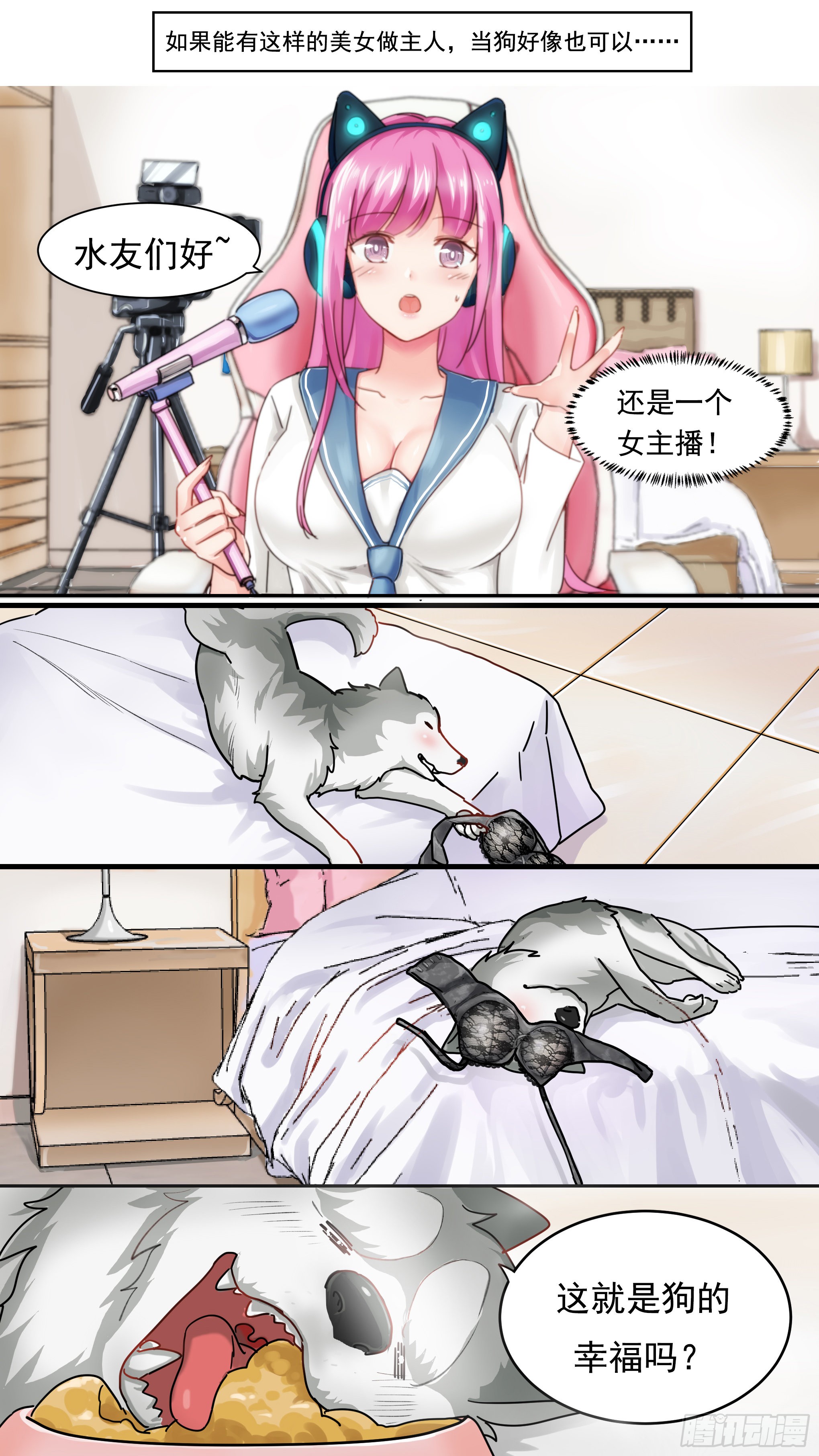 章节图片