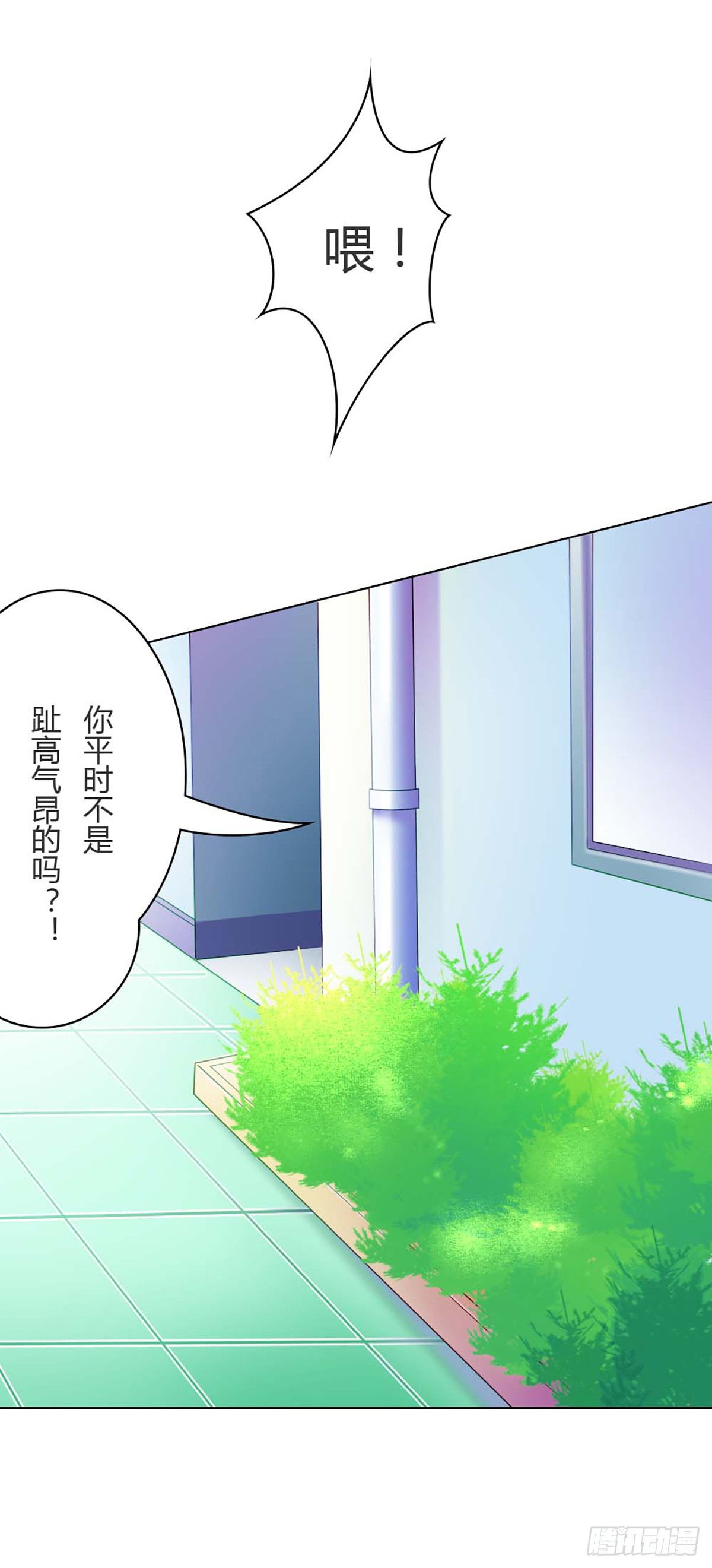 章节图片