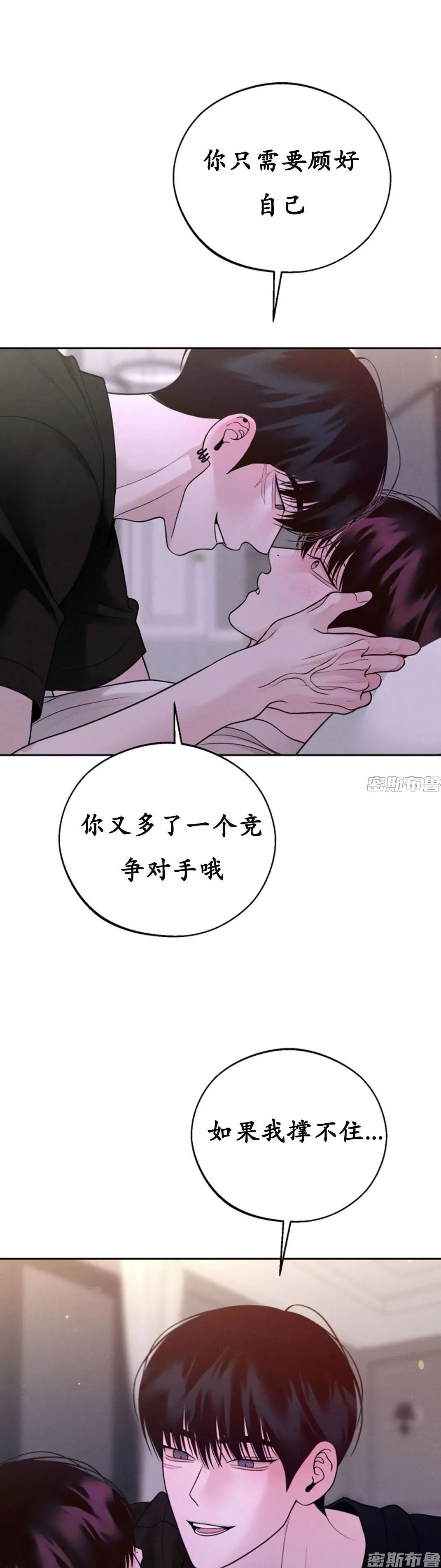 章节图片