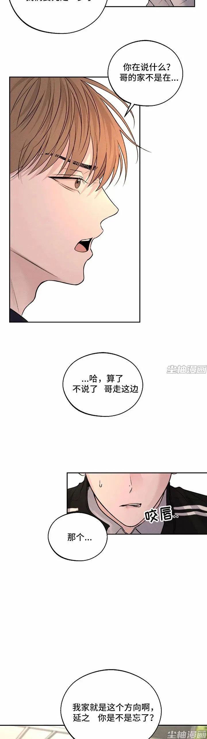 章节图片
