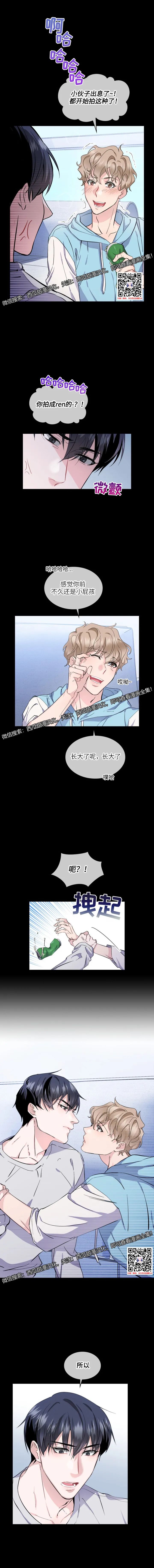 章节图片