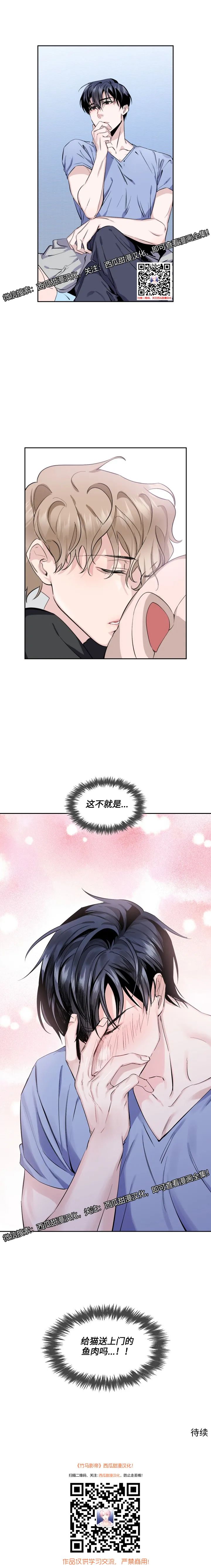 章节图片
