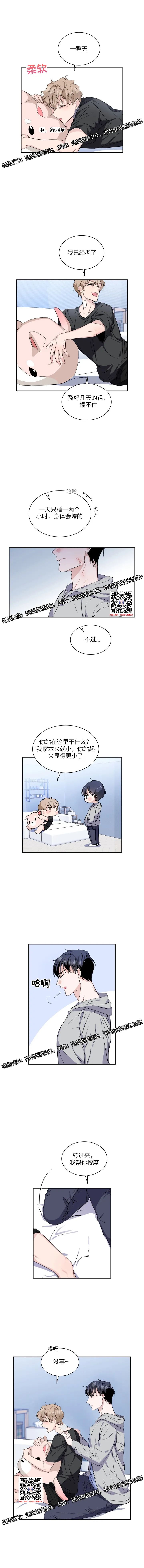 章节图片