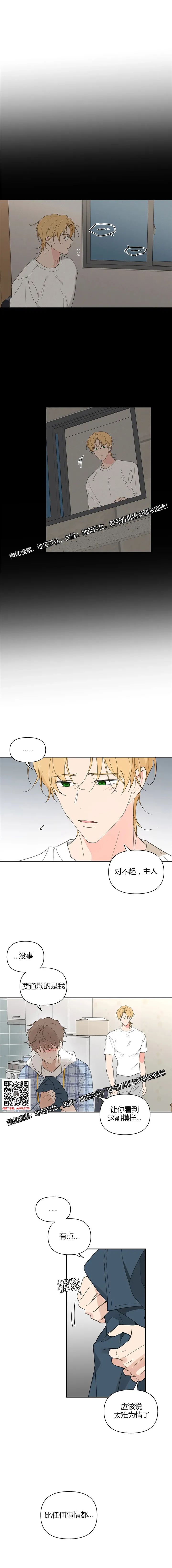 章节图片