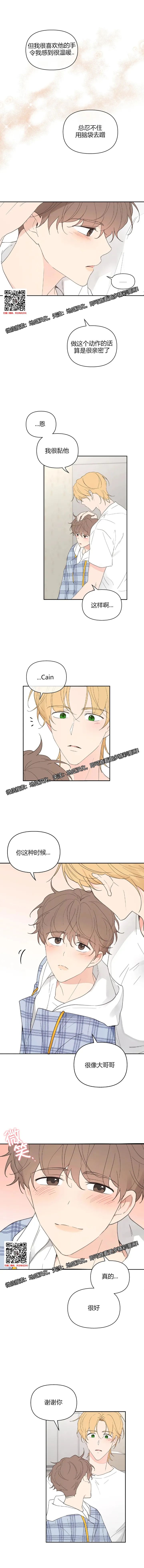 章节图片