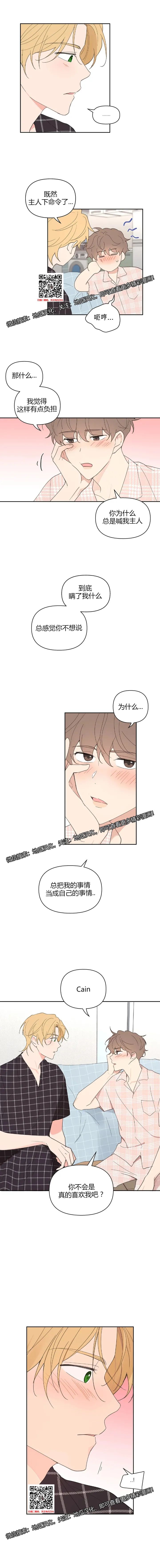 章节图片