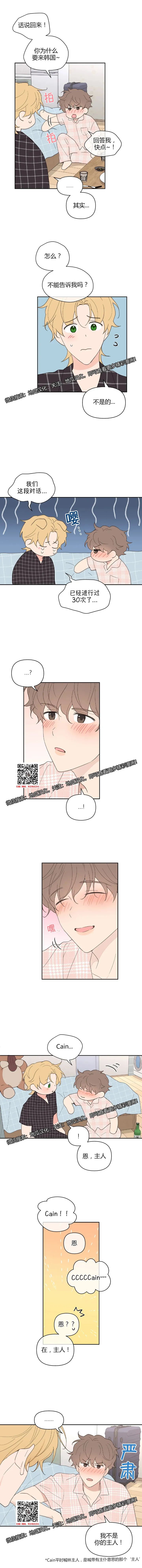 章节图片