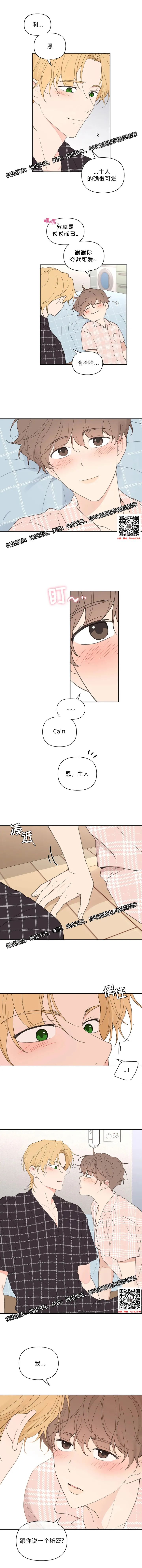章节图片