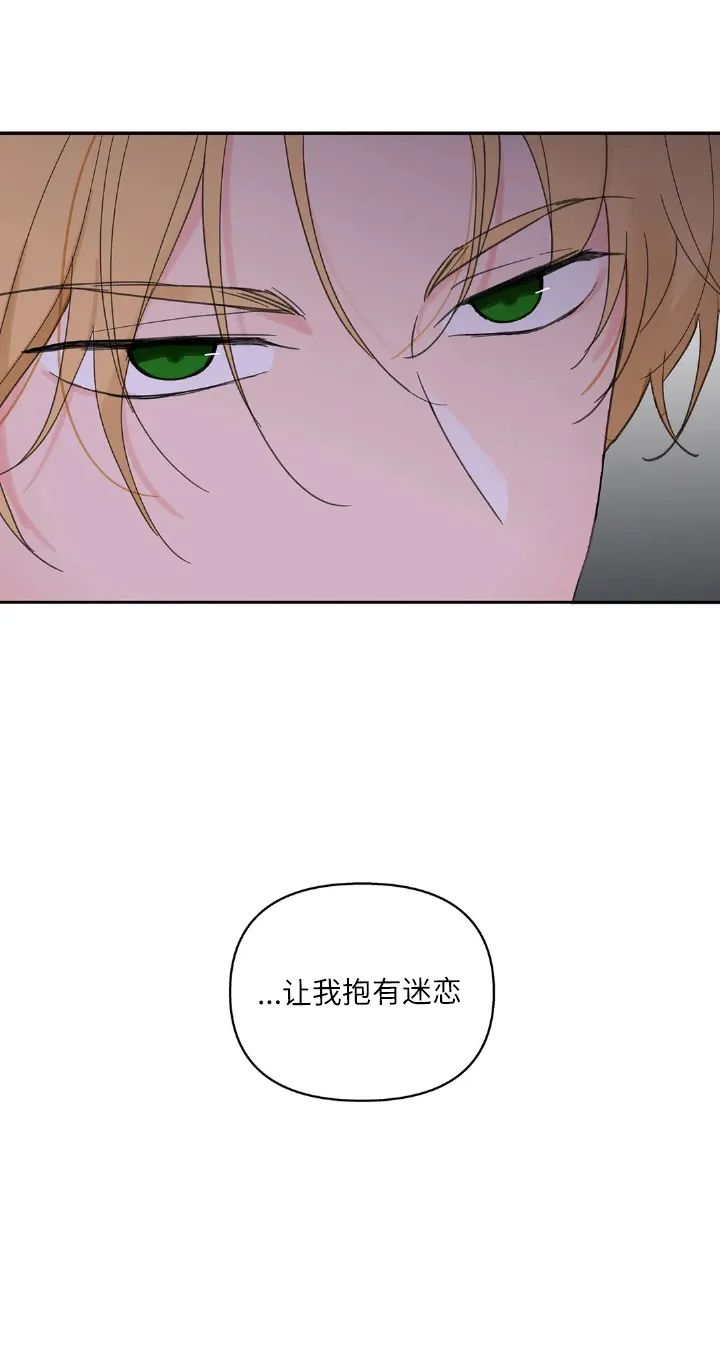 章节图片
