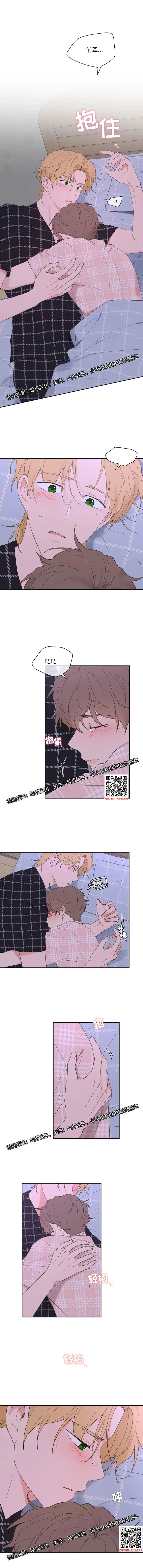 章节图片