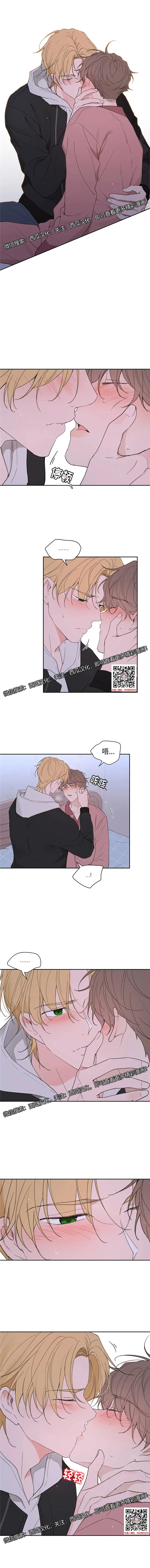 章节图片