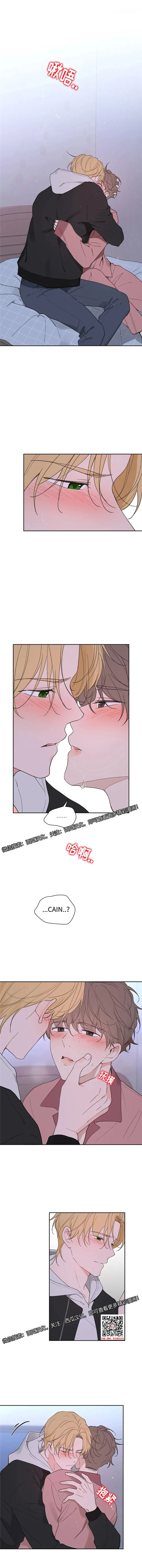 章节图片