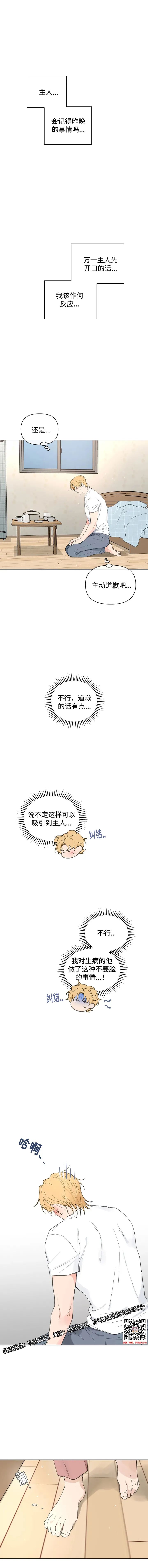 章节图片