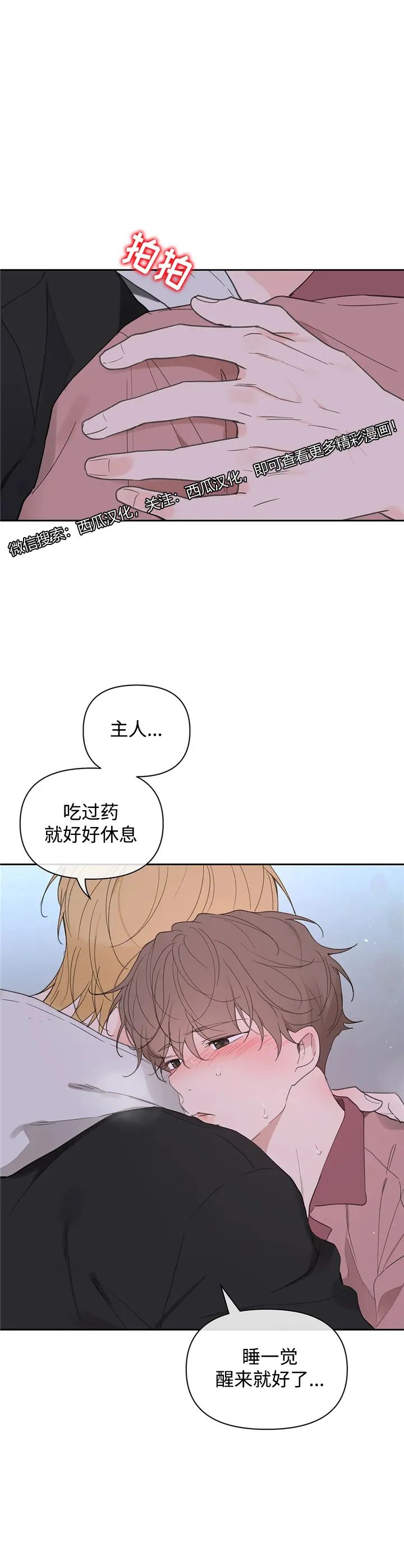 章节图片