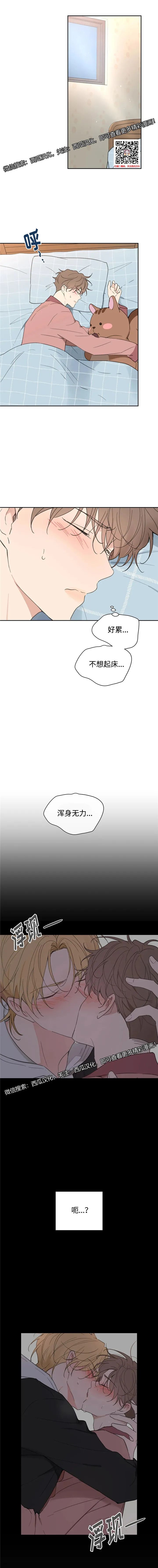 章节图片