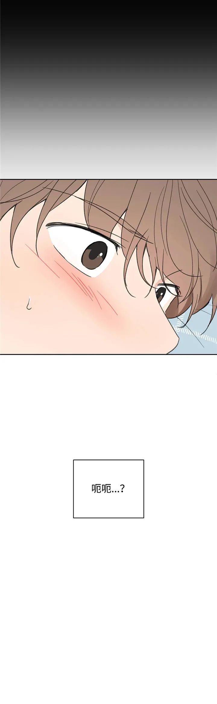 章节图片