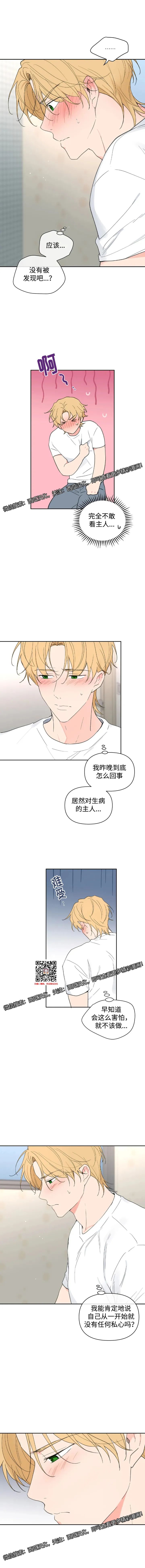 章节图片