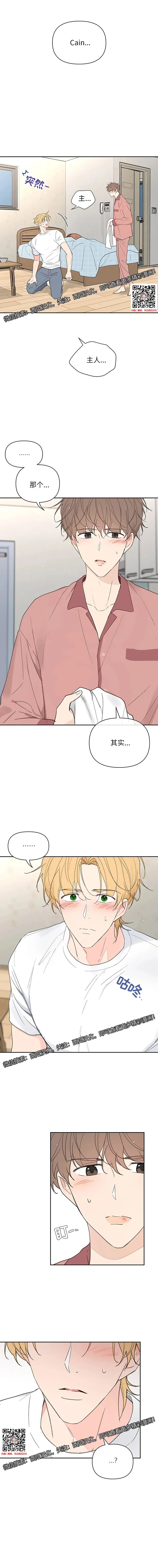 章节图片