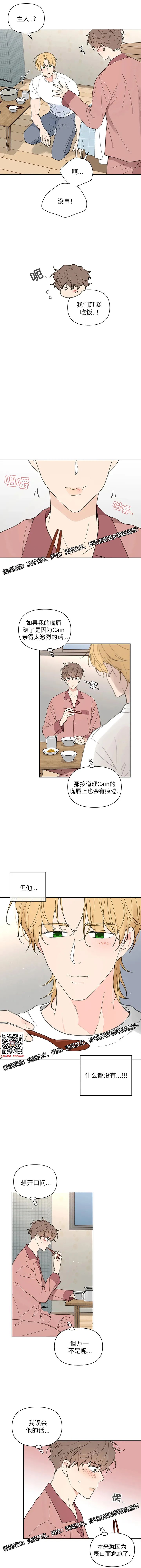 章节图片