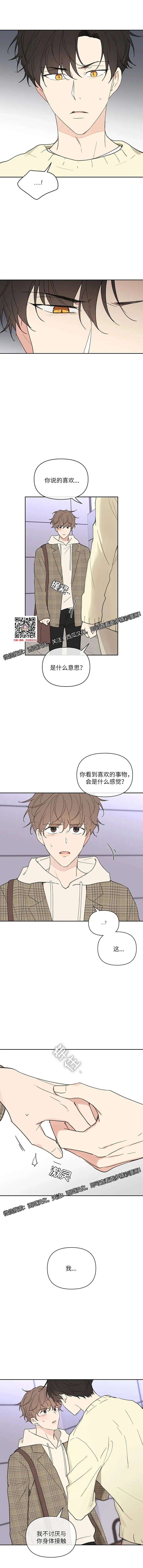 章节图片