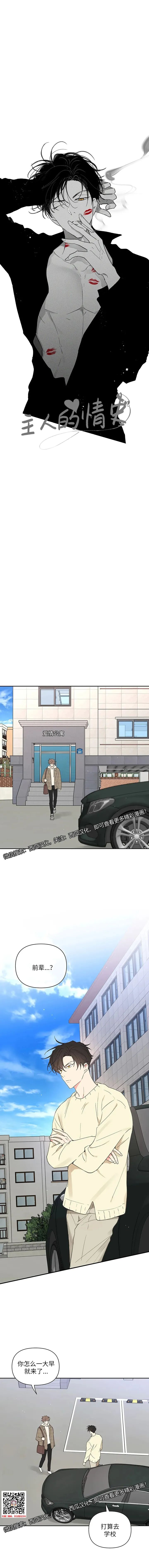 章节图片