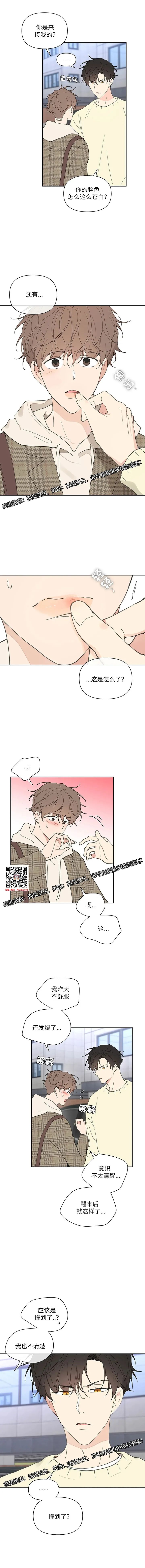 章节图片