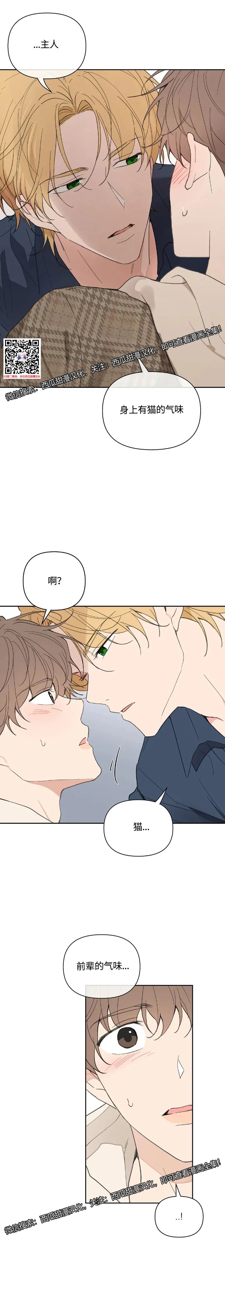 章节图片