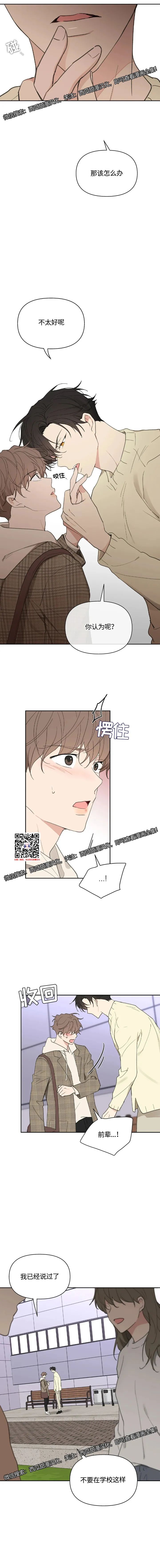 章节图片