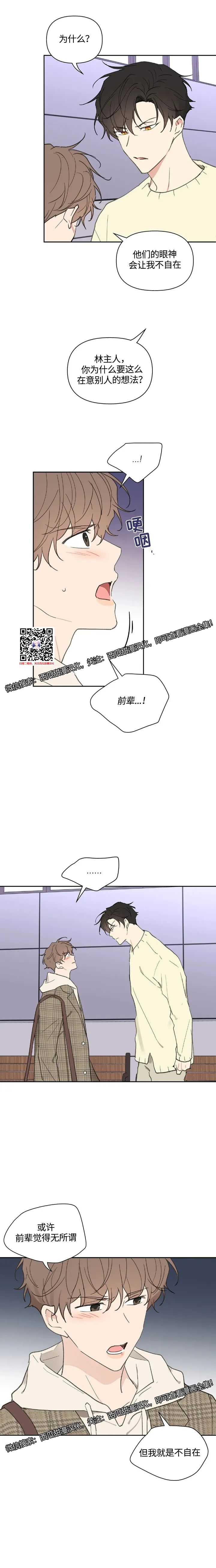 章节图片