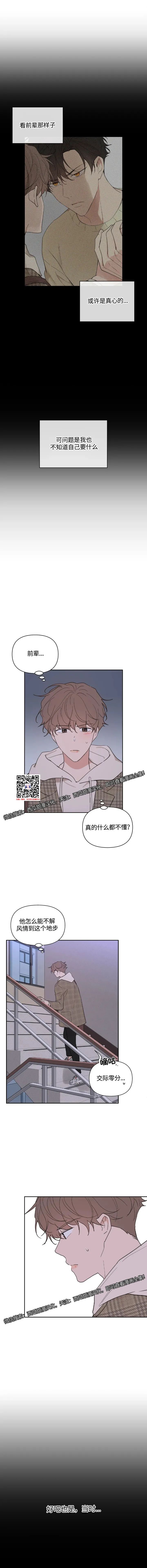 章节图片