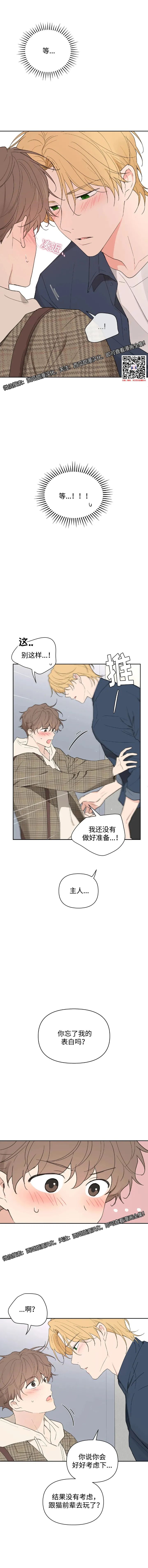 章节图片