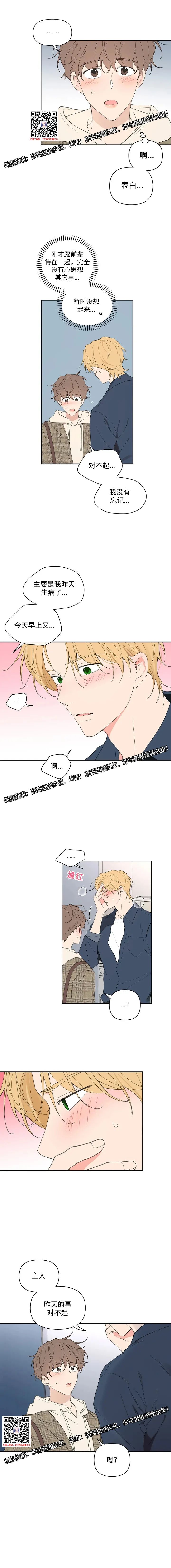 章节图片