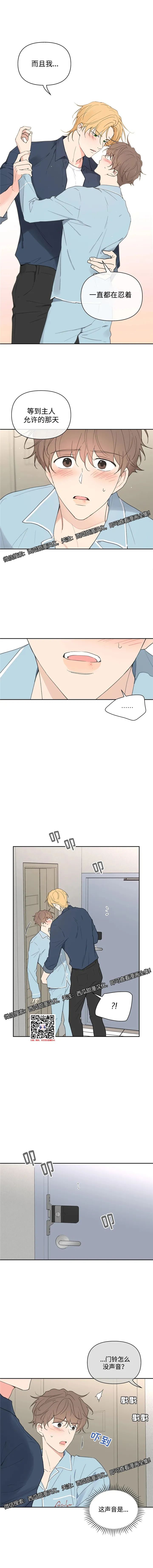 章节图片
