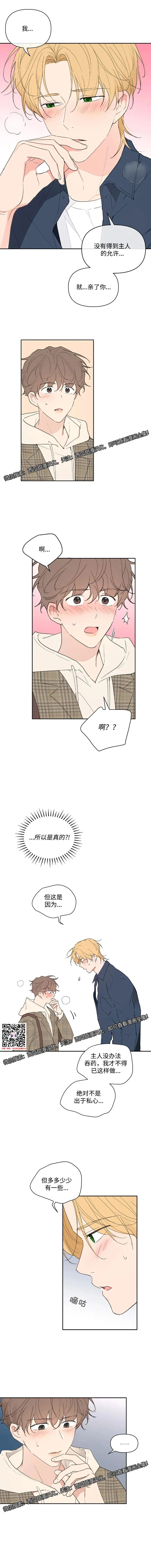 章节图片