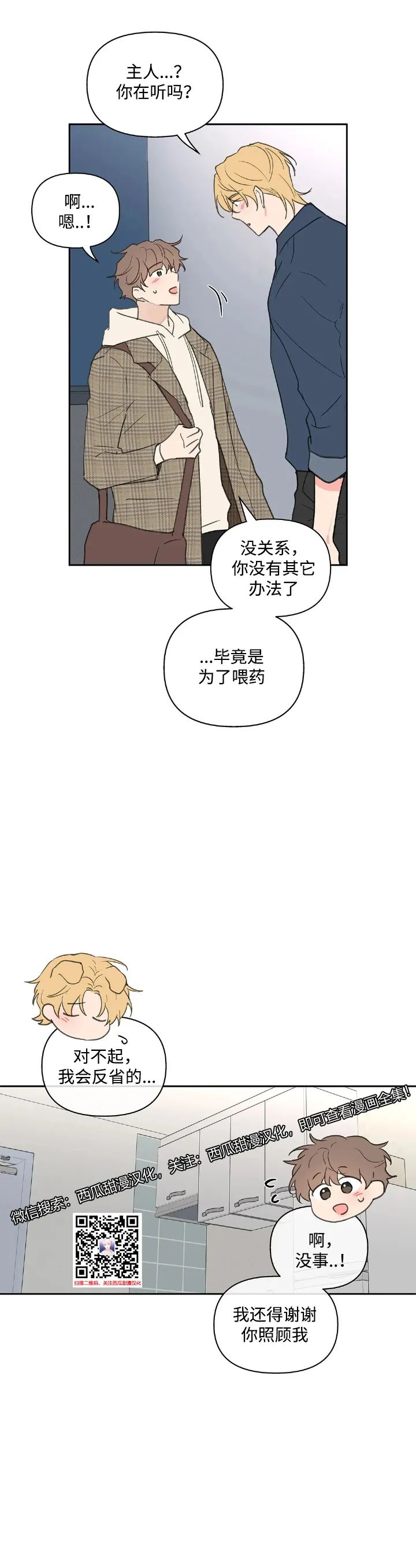 章节图片