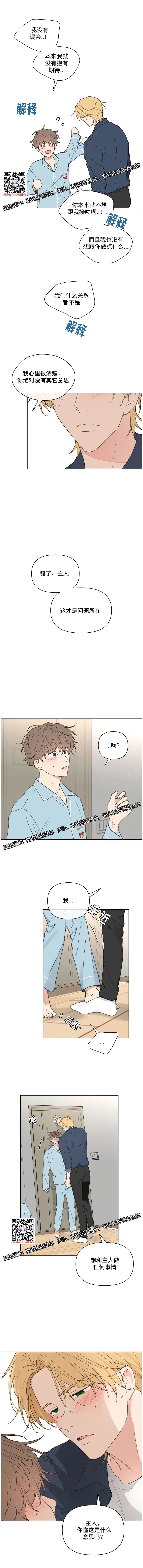 章节图片