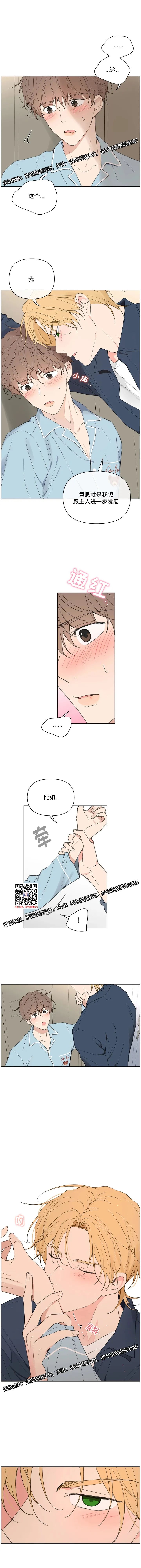 章节图片