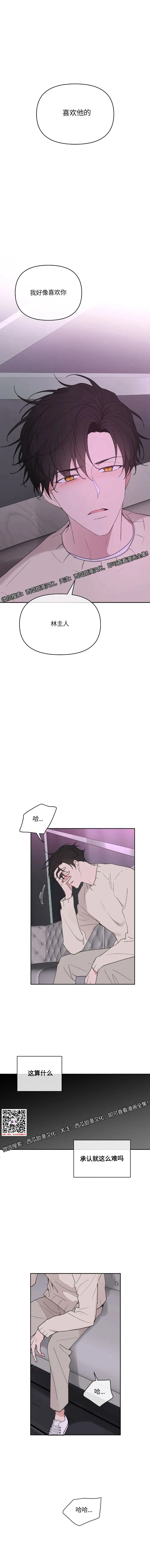 章节图片