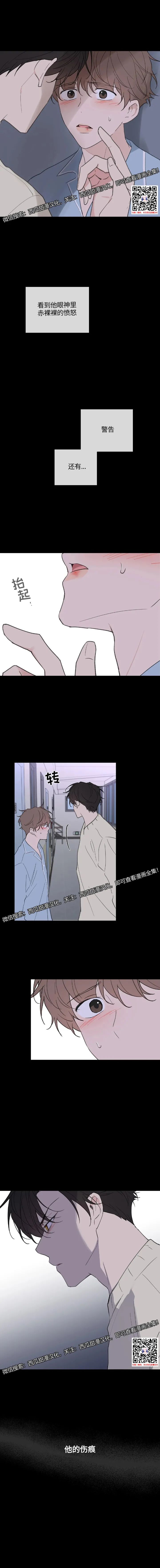 章节图片