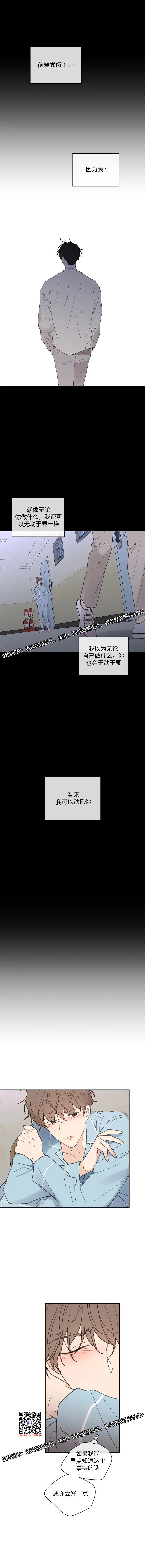 章节图片