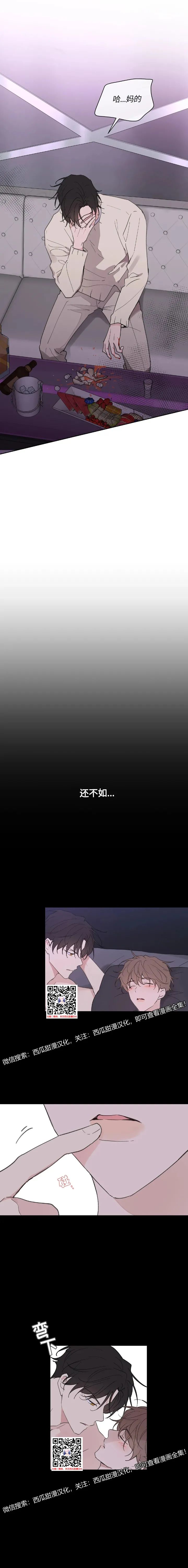 章节图片