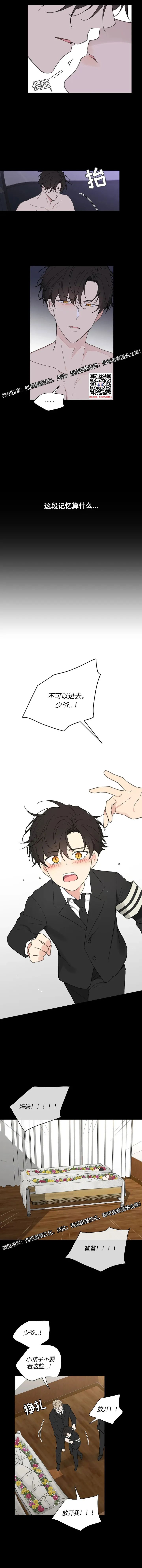 章节图片