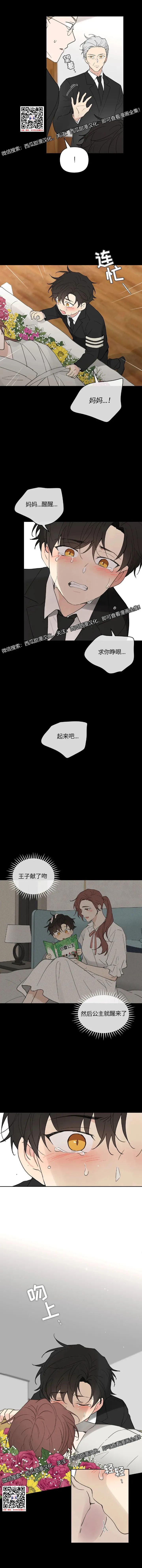 章节图片
