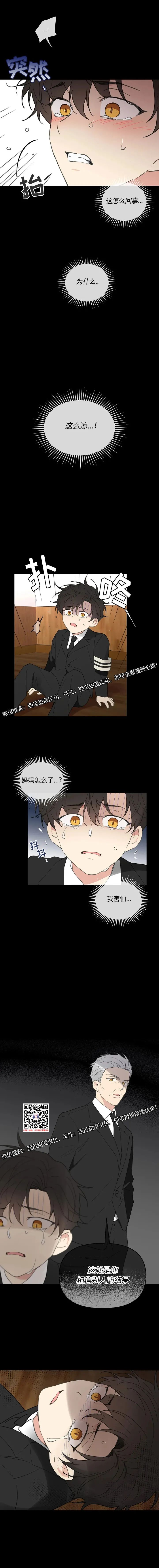 章节图片