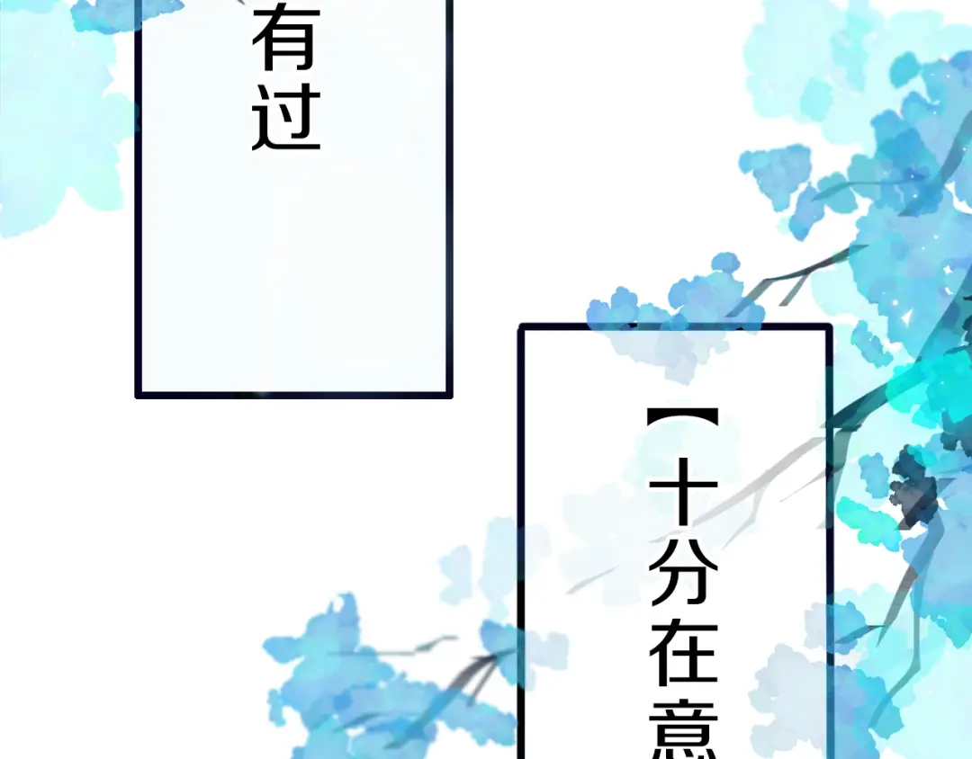 章节图片