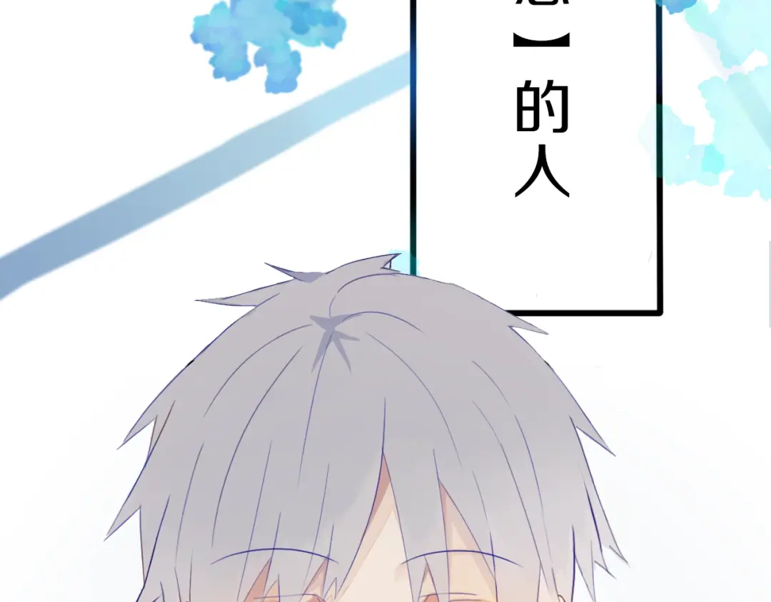 章节图片