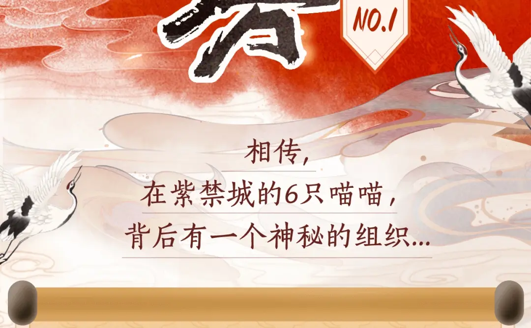 章节图片