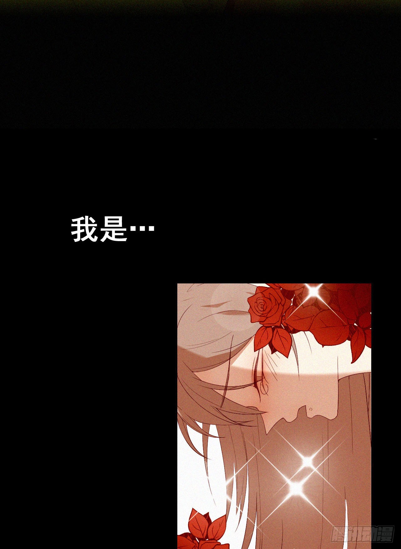 章节图片