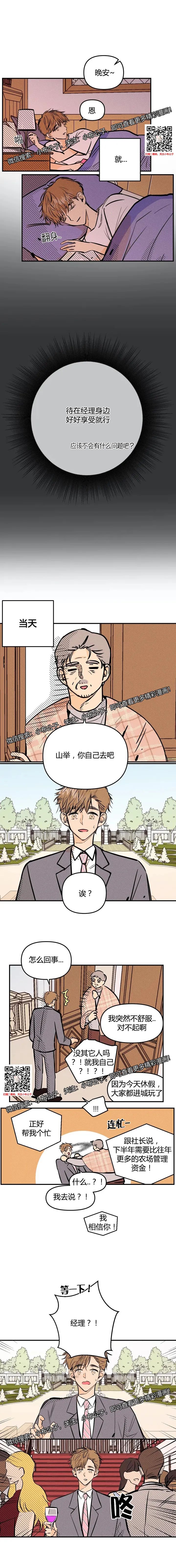 章节图片