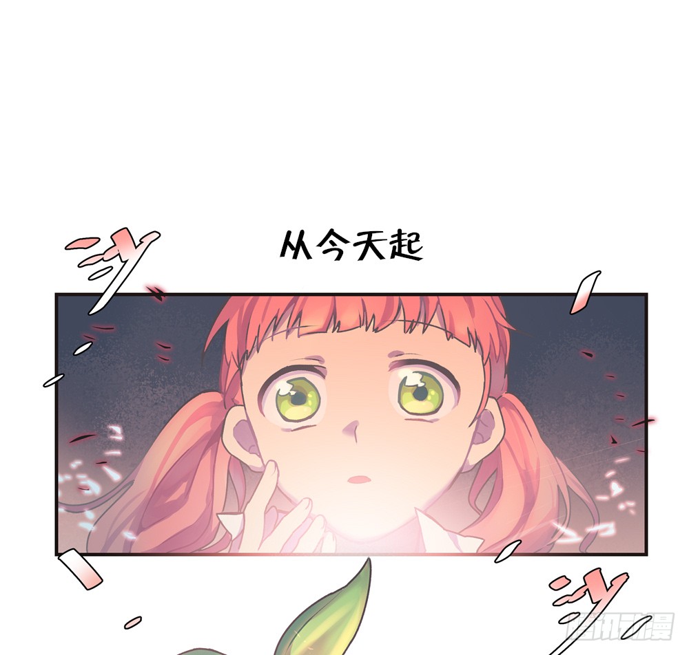 章节图片